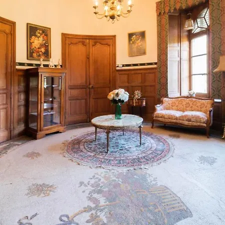 Chateau Du Hallay 3* Montaigu-Vendee