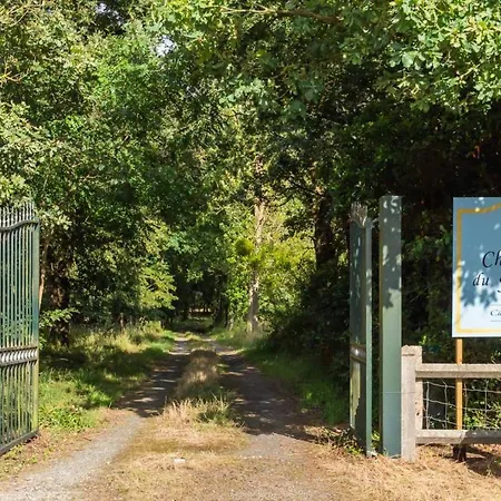 Bed & Breakfast Chateau Du Hallay 3*